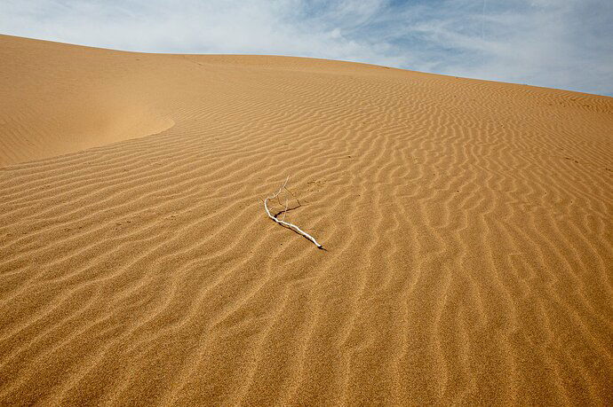 IMG5DIII_7767WebLrg-3