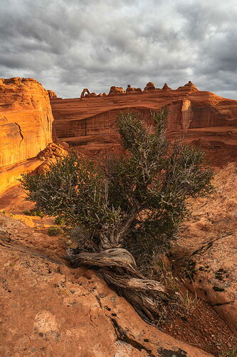 Stormy Sunrise from Delicate Arch Viewpoint