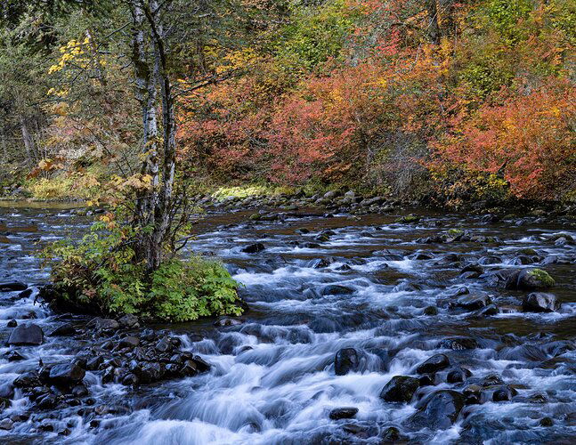 Salmon River, OR