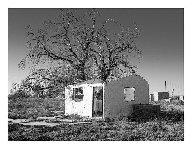 _DSF0836_837_psd1_1500px