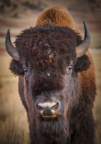 TN2025-_MG_7812-Edit-2-NPN copy.jpg