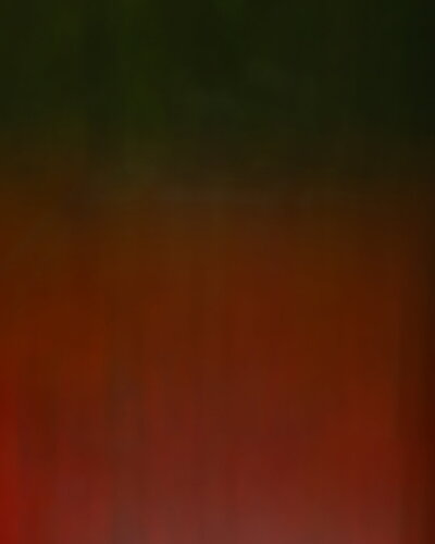 IMG5DMarkIV_0577NPN3MB.jpg