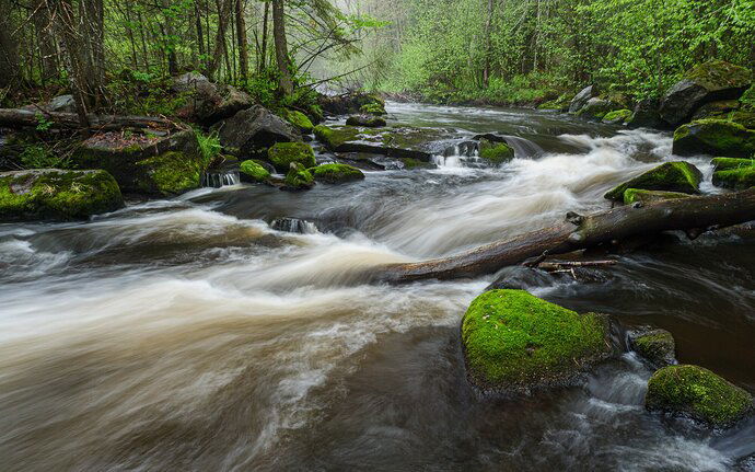 Kristen_SmithMay 19, 2021P1055763-Edit