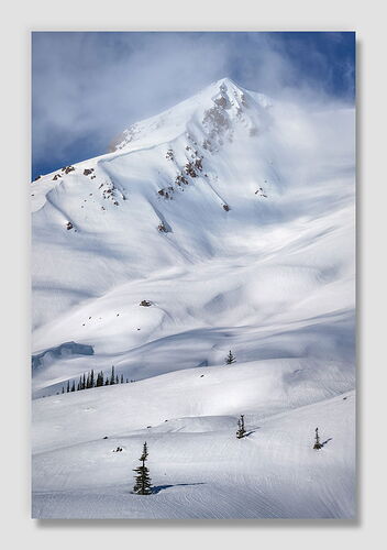 2025011 Vanilla Sandwich framed.jpg