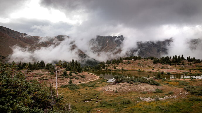 DSC_1795.jpg