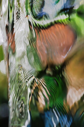 Falls Up Close #1.jpg