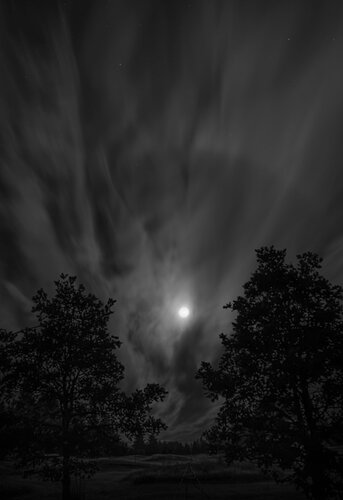 Revision 3 - -20260828-_7R58570-moon and clouds-DxO_DeepPRIME 3-Edit-3.jpg
