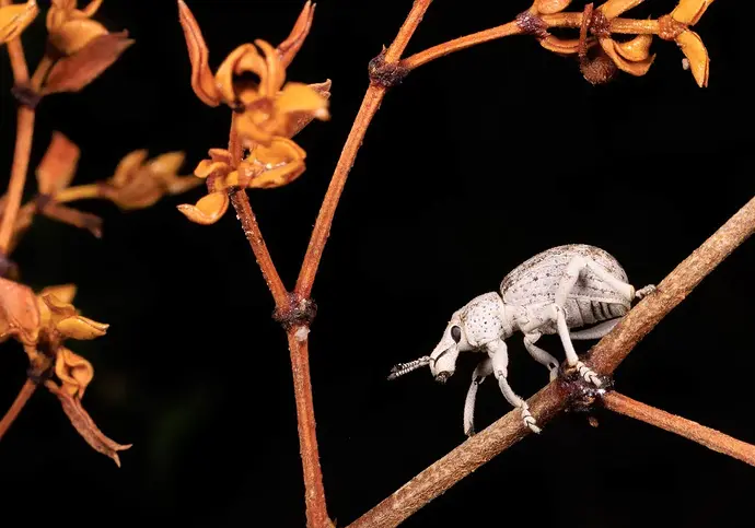 df19928ce1c62a261ce153a97323a050b57f3742-edited