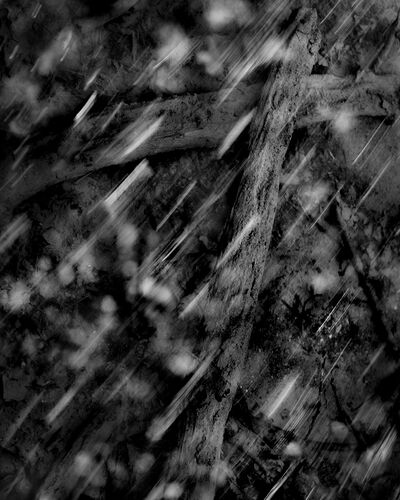 DSCF1848-2