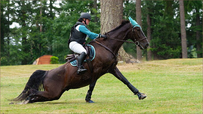 -20250614-_SA11098-Aspen Farms-DxO_DeepPRIME 3-Edit.jpg