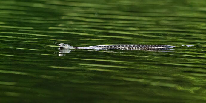 Kristen_SmithJune 14, 2024_1003774-Edit-2.jpg