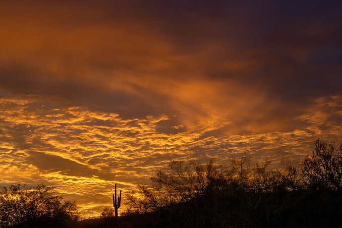 Original - Sunrise DD c.JPG