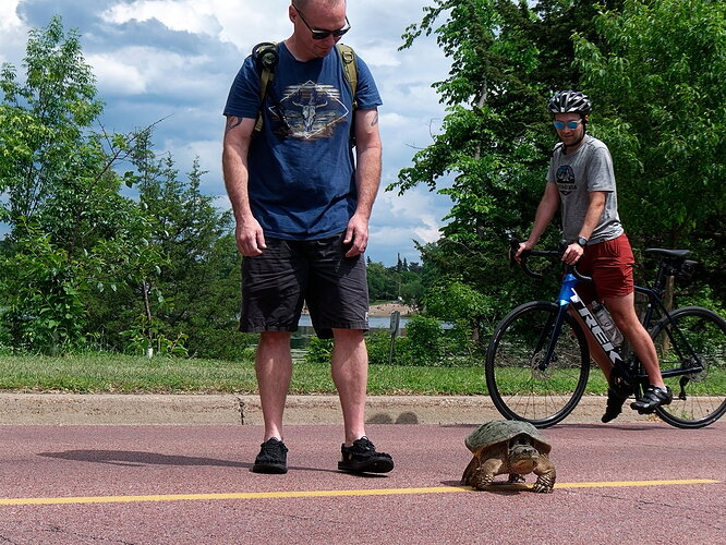 Snapping turtle by Cedar Lake-8 after Photolab and Photoshop2 camera club.jpg
