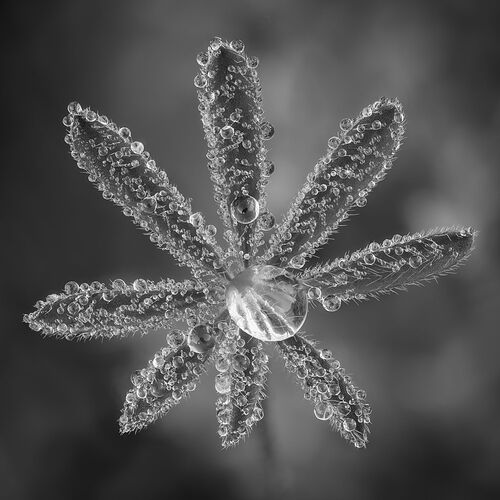 2025-11-18-10.26.24 ZS DMap-Edit-Edit-2