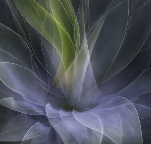Karen Waller 1