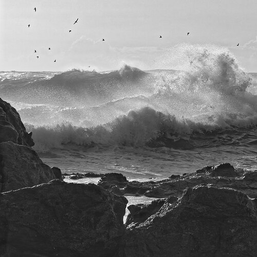 _MG_3635 Deadmans beach Straddie Mono S.jpg