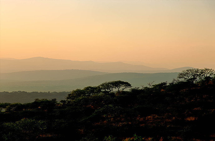 Africa (1 of 1).jpg