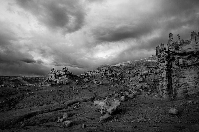IMG_9726 B&W-Edit-Edit.jpg