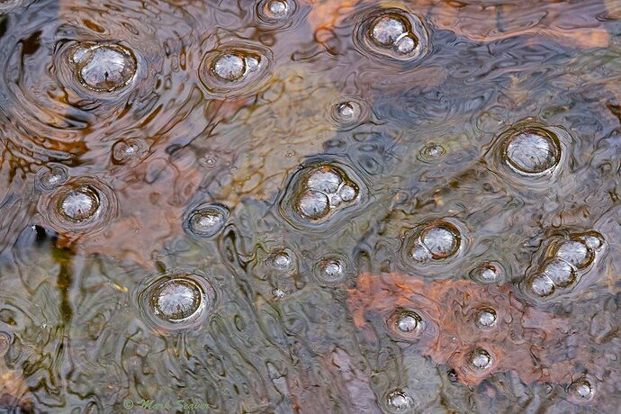 Bubbles and Ripples #1