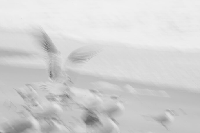 864A2491.jpg