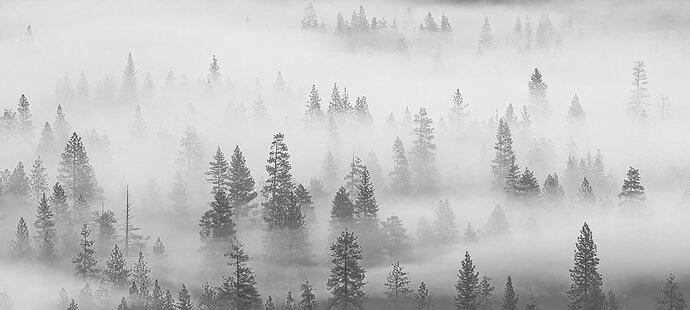 20260506-Z081363-BW2
