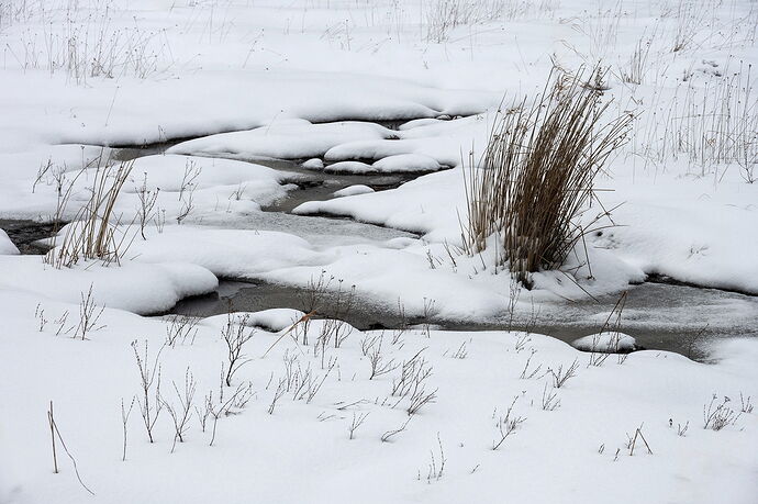 _DSC6171 copy