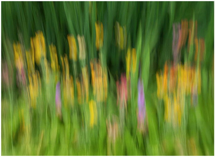 SRB_AB131 copy 5XNB