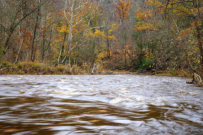 Tohickon Creek, November 2023