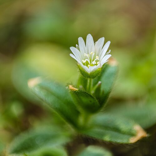 2021-08-07-15.38.34 ZS Pmax retouched-Edit