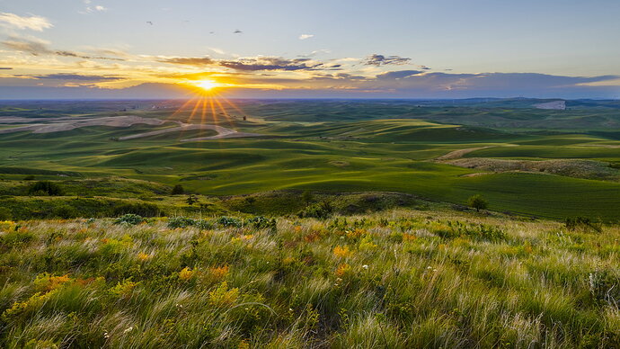 Revision 1 - _WD_3000-HDR-320-321-322-801-826.jpg