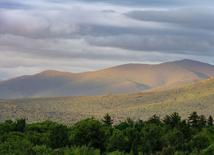 _DSC4302.jpg