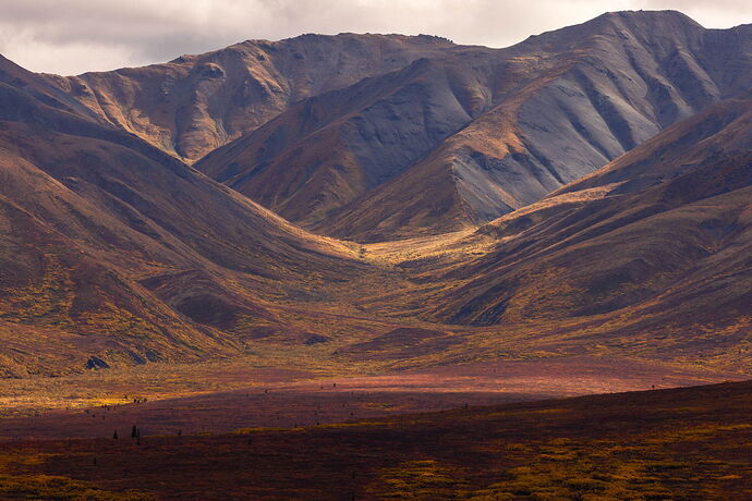 The Red Triangle v1.jpg