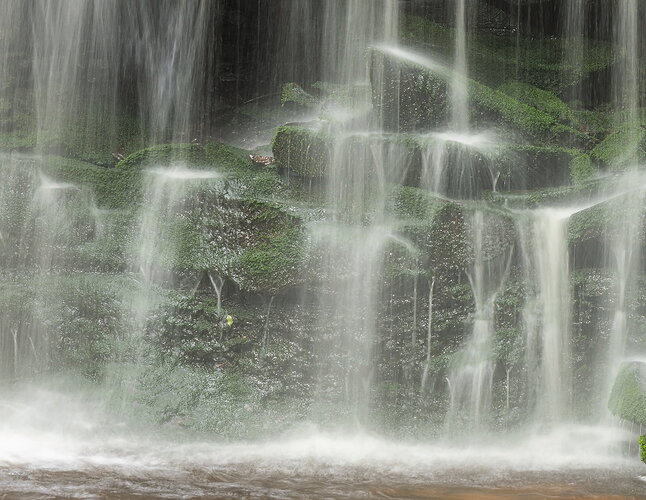 _DSC2608 copy.jpg