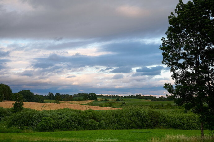 Original - DSC_1674 1.jpg