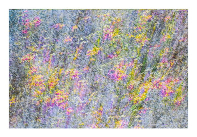 Matza-Edit-2-Edit.JPG