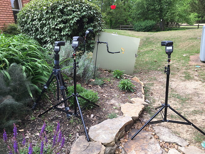 Hummer set up 1 - small