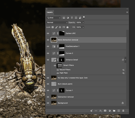 Metadata screenshot