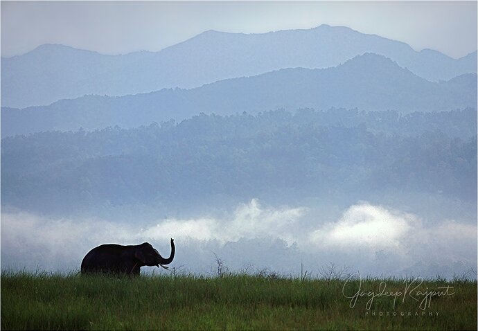 In Himalayan foothills