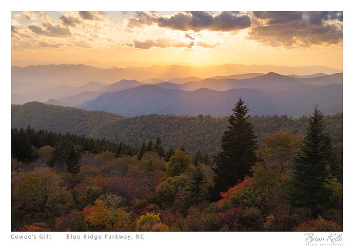 _DSF1025-Final (Maybe).jpg