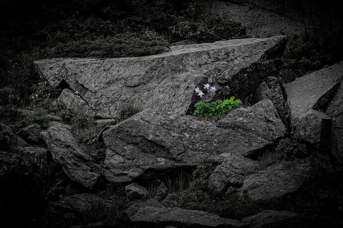LO5D5806_DxO-1-4096PX.jpg