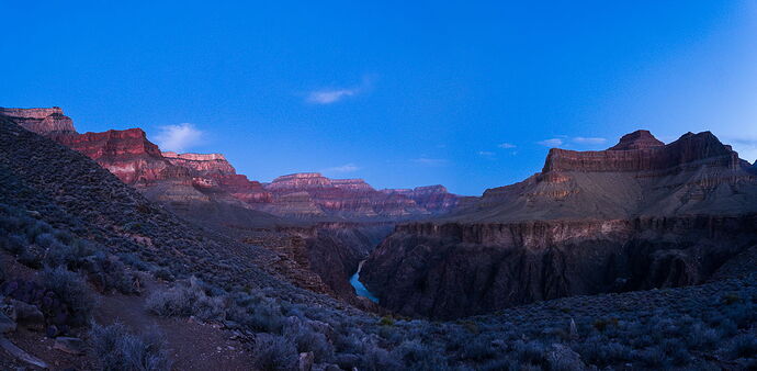 MatthewChathamPhotography7