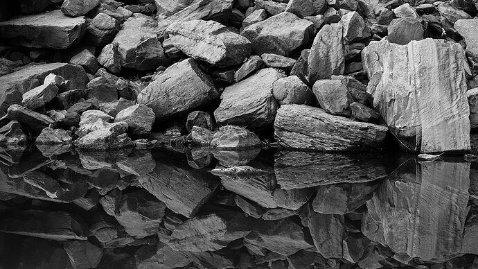 20241022_Utah_ZionNationPark_EmeraldPoolsAndSandBeachTrail_107-001_BW