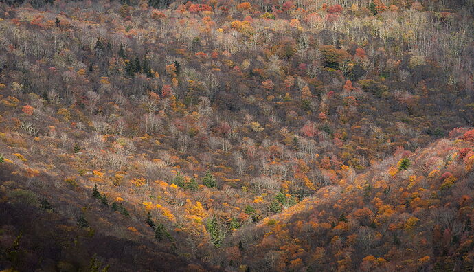 Rohrbaugh Cliffs.jpg
