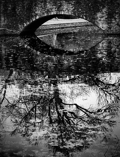 Leaves everywhere NE