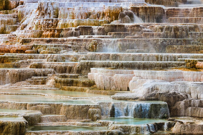 MarkSeaverMound Terrace, small steps--MLDCrop1