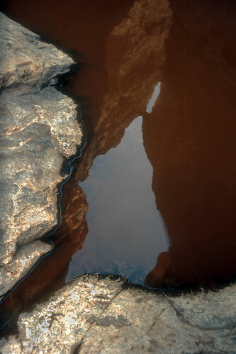 reflection in canyon pond.jpg