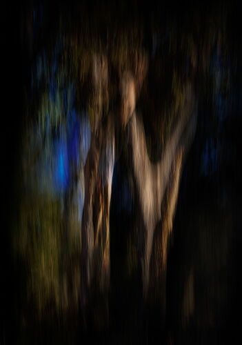 _49A1560-Edit-Edit-Edit-Edit