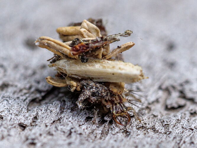 Kristen_SmithJune 02, 2021P1058453