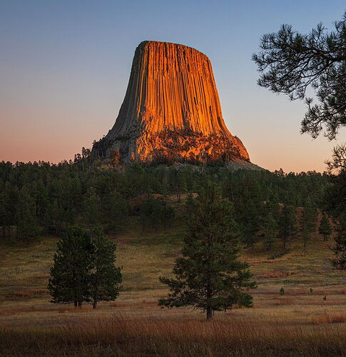 TN2025-_MG_7539-Edit-NPN copy~2