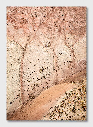 Mud Trees #2